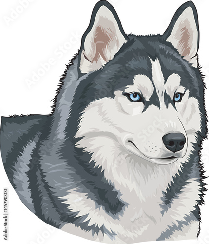 Realistic  Husky Art  Vector 