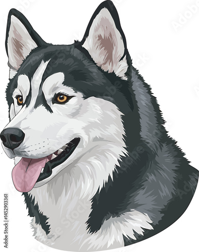 Realistic  Husky Art  Vector 