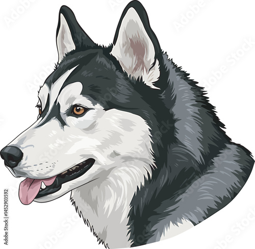 Realistic  Husky Art  Vector 