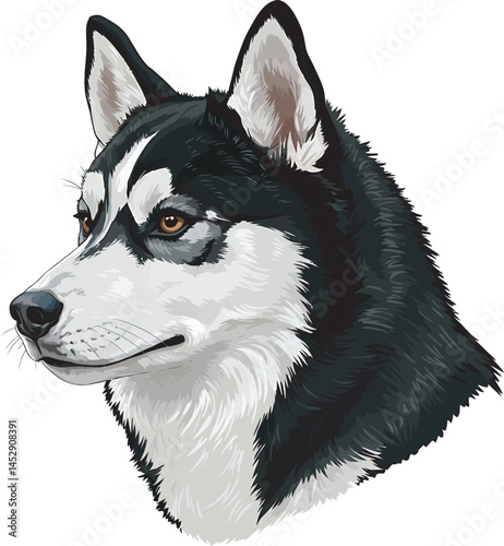 Realistic  Husky Art  Vector 