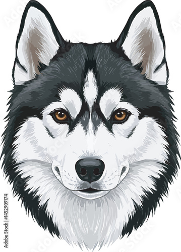 Realistic  Husky Art  Vector 