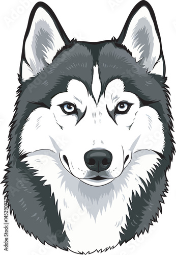 Realistic  Husky Art  Vector 