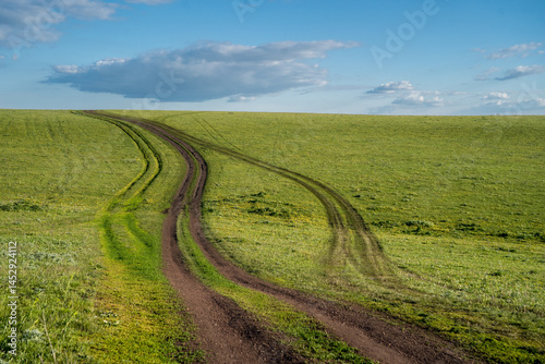 Landscape with a hill covered with green grass and a dirt road to the horizon.