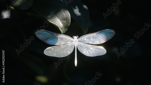 Obraz na płótnie Dragonfly wings shimmer softly in warm sunlight amid lush w salonie