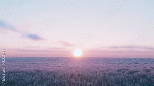 Sunrise over a field