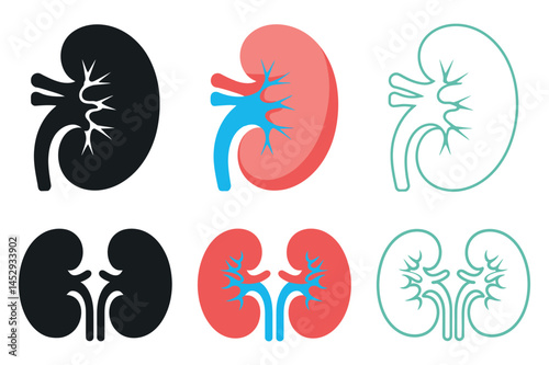 Human Kidney Anatomy Illustrations Set Black Silhouette, Red Detailed, and Outline Versions of Single and Paired Kidneys on White Background