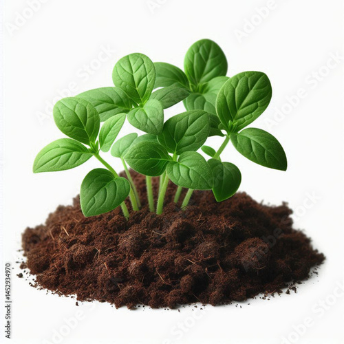 Young Green Plant Sprout in Soil – Eco-Friendly Botanical Vector A minimalist vector illustration of a fresh green sprout emerging from rich brown soil, symbolizing new life and environmental growth. 