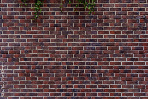 A brick wall with a green plant growing out of it. The wall is brown and has a few green leaves on it.