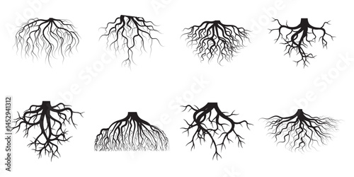 Tree roots silhouettes set. Wood growth, plant system, eco pattern, natural organic shapes. Bare underground forest branches. Botany elements. Flat vector illustration isolated on white background