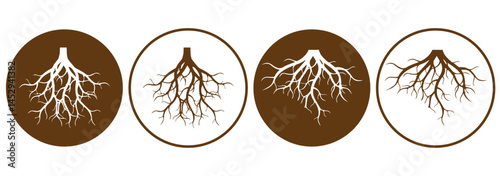 Brown tree or shrub roots. Parts of plant, root system with tree stump. Dendrology, study of woody plants. Sketch drawing. Vector illustration. 