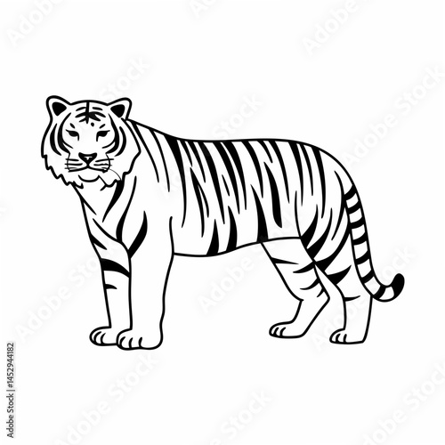 Realistic full-body image of a Black Tiger on a white background