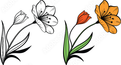 Simple flowers vector line art with illustration, flower vector design.