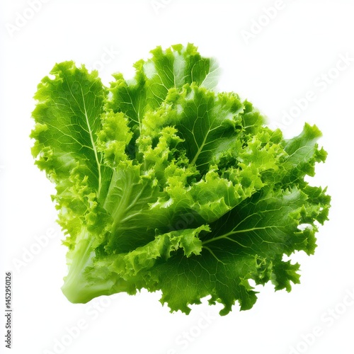Fresh green lettuce isolated on white background