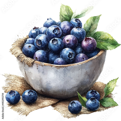 watercolor of Blueberries In A Porcelain Bowl, vector, isolated on a white background.