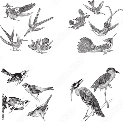 Detailed Vintage Bird Illustrations