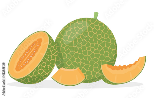 Fresh green Cantaloupe Melon fruit and pieces. Sweet organic melons for juice, smoothie or vitamin healthy food. Vector icon illustration isolated on white background.