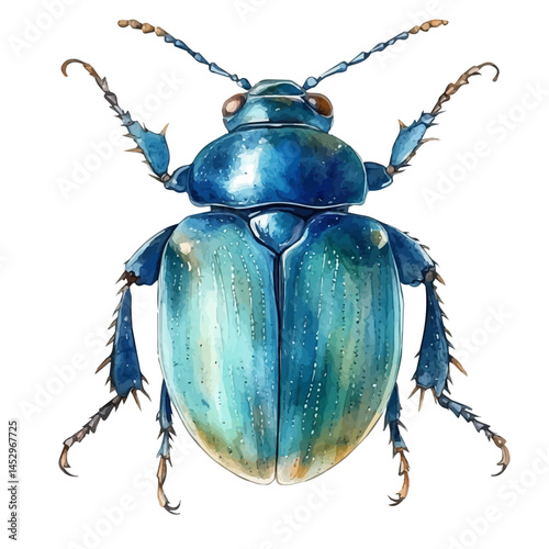 Beetle With Shiny Shell, watercolor vector, isolated on a white background.