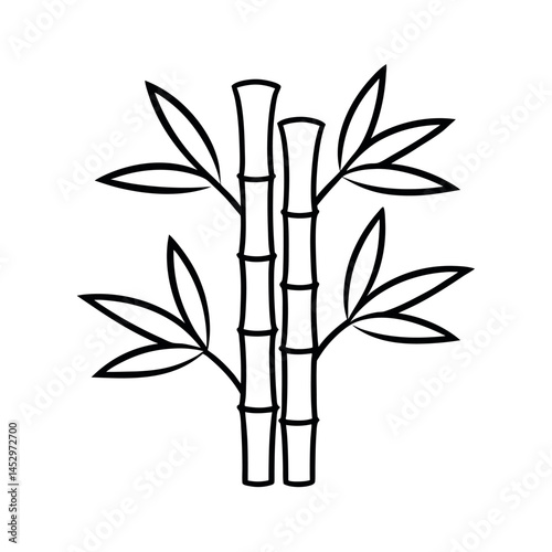 Minimalist Bambusa Sketch Line Art Vector