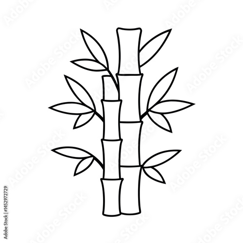 Bambusa Grass Outline Botanical Vector Design