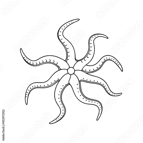 Brittle Star Outline Marine Animal Vector