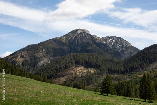 Fototapeta Naklejka Na Ścianę i Meble -  mountain landscape with forest in the Tatra Mountains, Poland