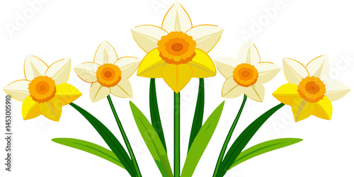 Spring daffodils flowers floral design yellow and white petals botanical illustration nature art