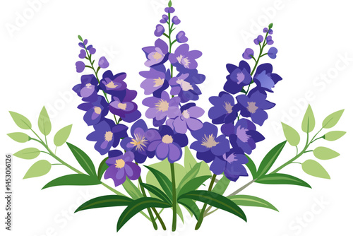 Delphinium flower illustration purple flowers floral design botanical art garden flowers bloom vector art
