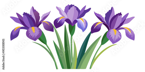 Iris flower vector illustration floral design purple iris flowers spring flowers botanical art garden iris