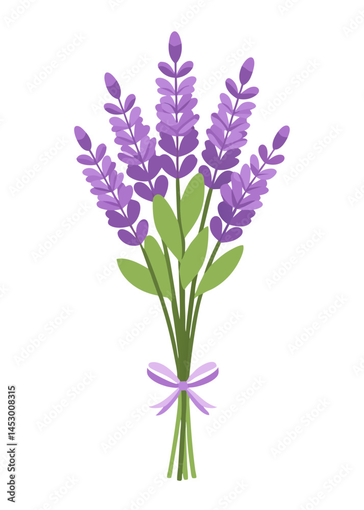 Obraz premium Lavender flower bouquet floral design illustration botanical purple plant aromatic herb garden bunch