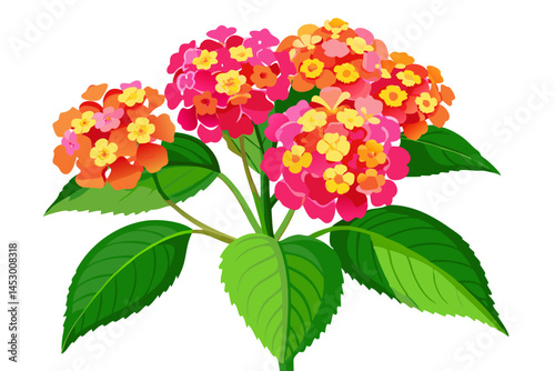 Illustration of lantana camara flower plant with colorful bloom and green leaves design art
