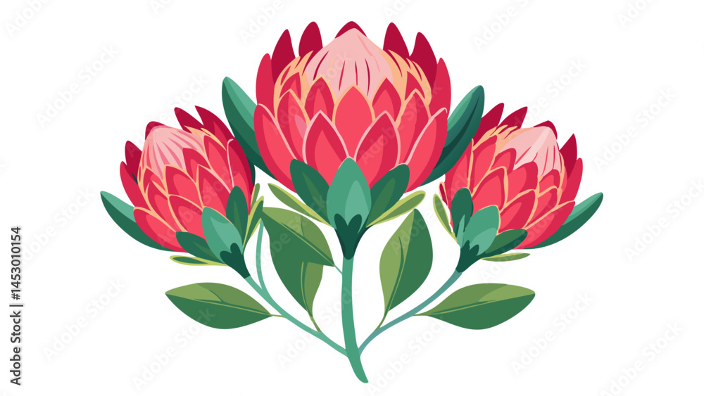 Fototapeta premium Protea flower illustration floral design botanical art print exotic bloom vibrant flora decor