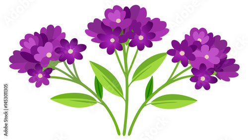 Beautiful purple flowers floral design vector illustration botanical garden blossom bloom spring bouquet