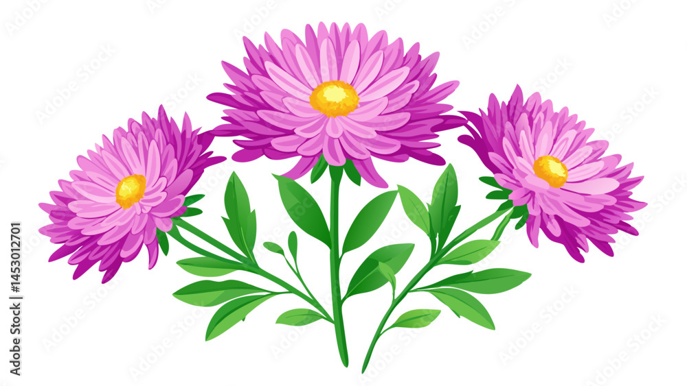 Obraz premium Beautiful aster flower illustration with purple petals and green leaves floral design element