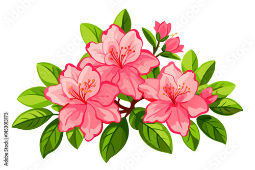 Pink azalea flower vector illustration floral design element botanical art spring blossom bloom drawing