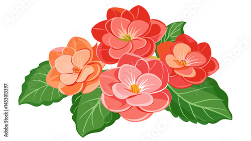 Illustration of beautiful begonia flowers floral arrangement with leaves botanical art design vector