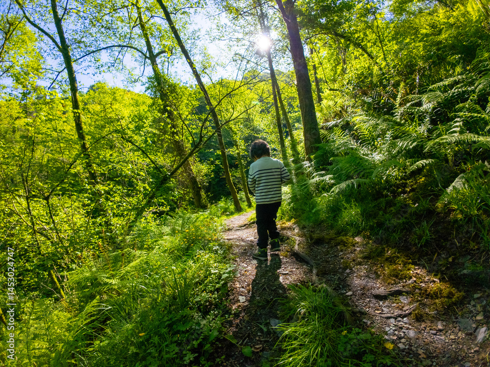 Obraz premium Child hiking on a sunny spring day in the aiako harria natural park