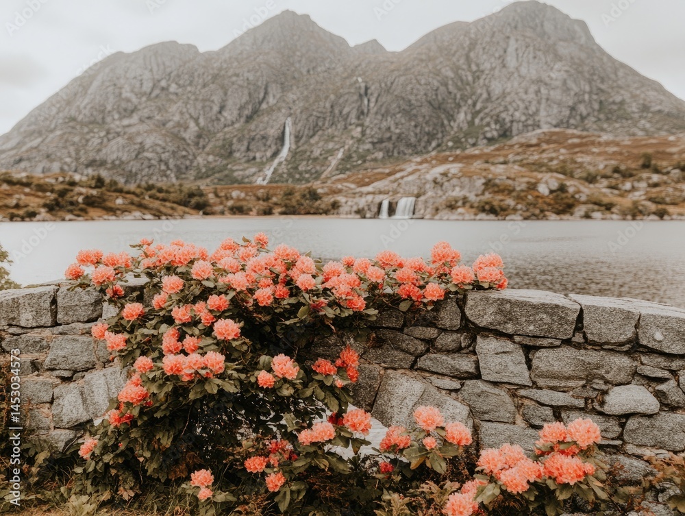 Peachy roses flourish by a tranquil lake, backdroped by misty mountains.