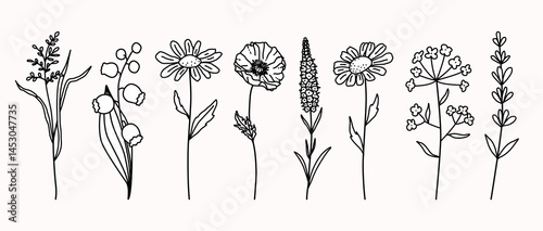 Set of botanical flowers and herbs in vintage line art style. Black and white linear flowers isolated on white background. Perfect for packaging design, stationery, fabric and eco branding.