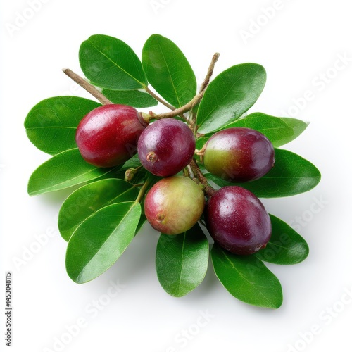 Carissa macrocarpa fruits and leaves on white background