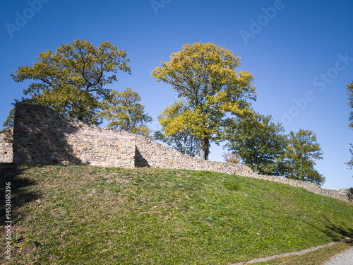 Obraz na płótnie Roman fortified settlement Tsari Mali grad, Bulgaria w salonie