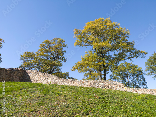 Obraz na płótnie Roman fortified settlement Tsari Mali grad, Bulgaria w salonie