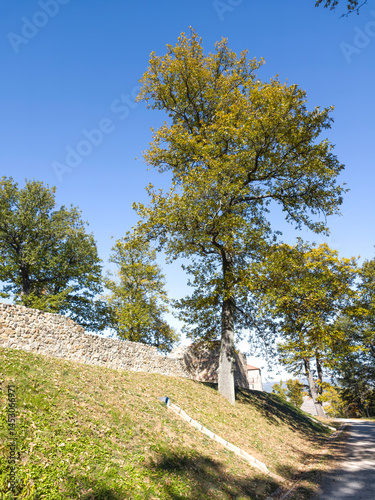 Obraz na płótnie Roman fortified settlement Tsari Mali grad, Bulgaria w salonie