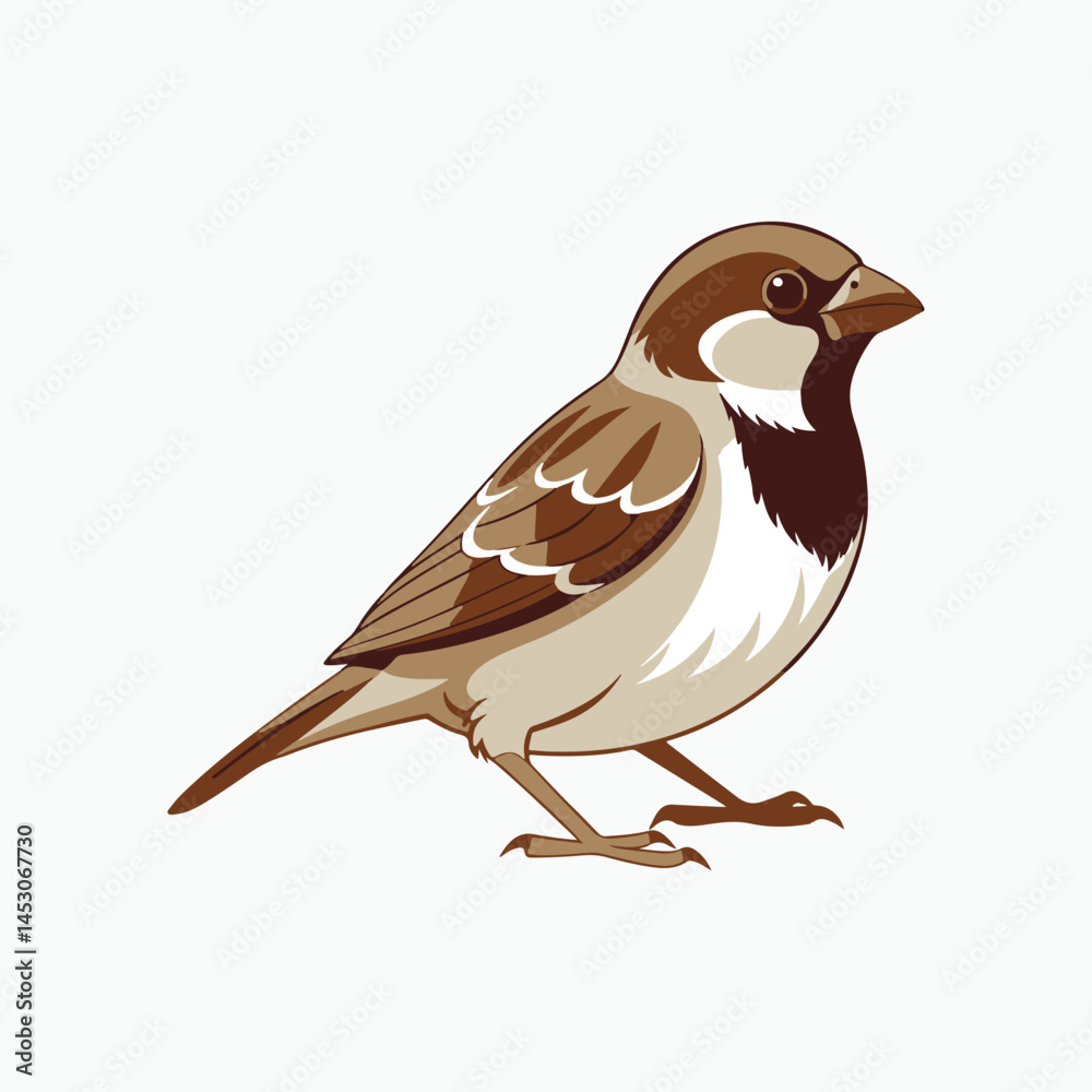 Obraz premium house sparrow bird silhouette vector