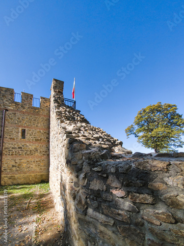 Obraz na płótnie Roman fortified settlement Tsari Mali grad, Bulgaria w salonie