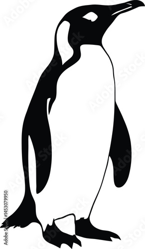 Penguin Illustration - Minimalist Graphic for Educational Materials, Web Design