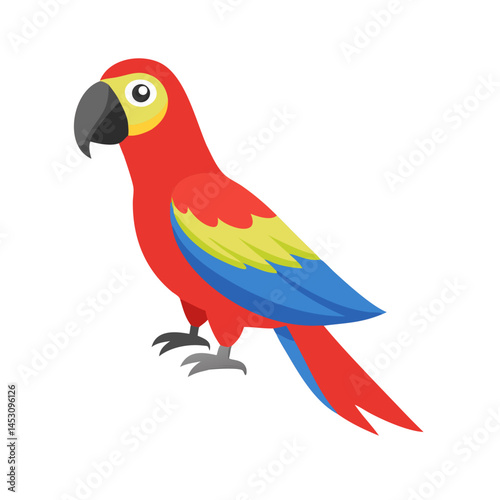 Parrot: The Colorful Birds of the Tropics
