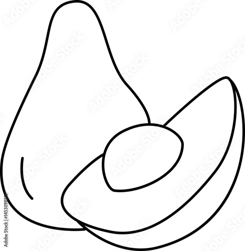 Avocado illustration.