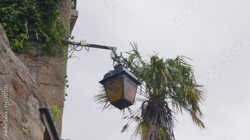 A palm tree and an old street lamp on the wall of a stone house sway in the strong wind. Mont-Saint-Michel, Normandy, France.