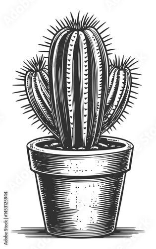 Detailed Black and White Illustration of a Cactus in a Pot