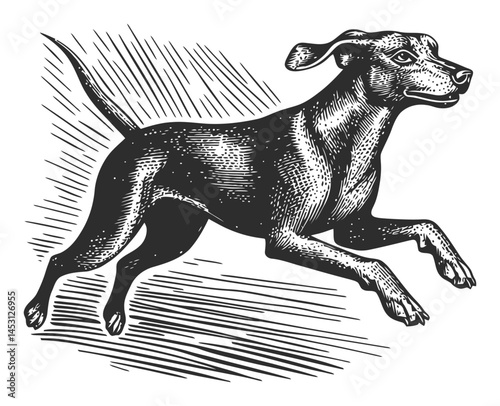 Vintage Style Illustration of a Running Dog in Dynamic Motion